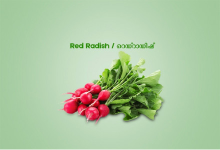 Red Radish / റെഡ്റാഡിഷ് - 250.00 gm Pack ( Ozone Washed)